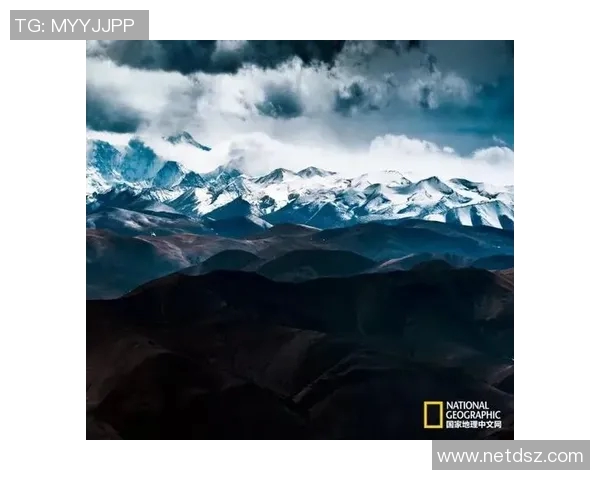 高原之巅的绿茵传奇藏族足球球星奋战草原逐梦荣耀时刻