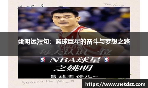 Bsports官网